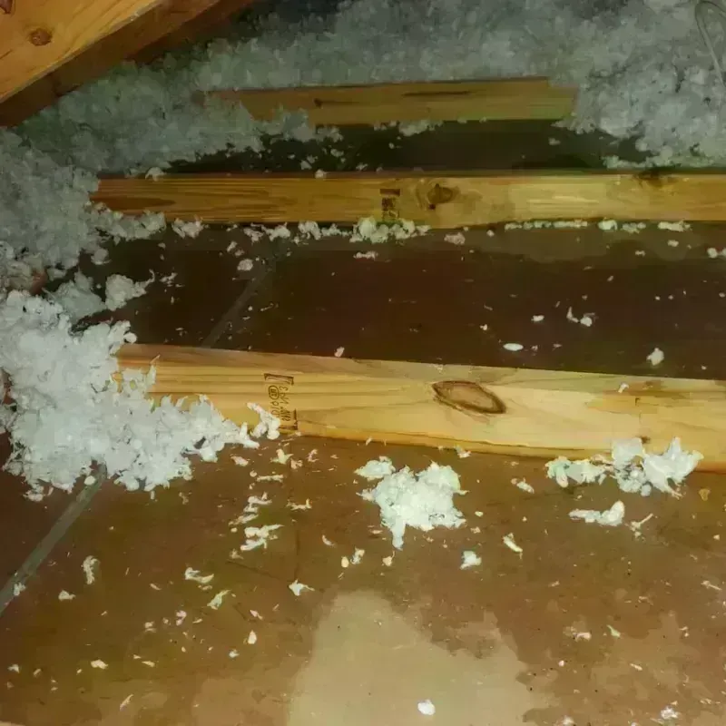 Attic Water Damage in De Soto, MO