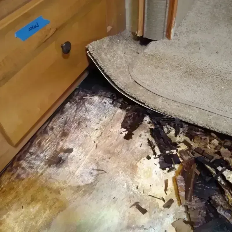 Best Wood Floor Water Damage Service in De Soto, MO